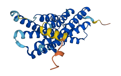 RGR 3D structure