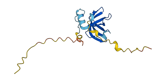 EIF1AX 3D structure