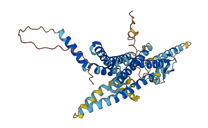 SCTR 3D structure