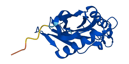 OMP 3D structure