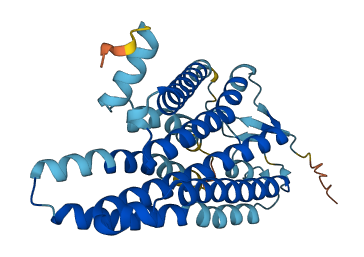 OR3A1 3D structure