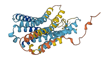OR3A4P 3D structure