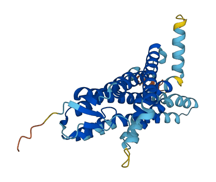 OR1E2 3D structure