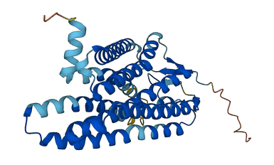 OR3A3 3D structure