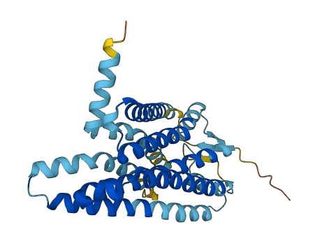 OR1G1 3D structure