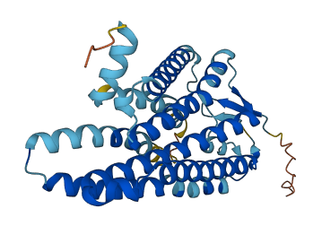 OR3A2 3D structure