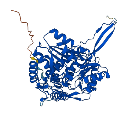 ALDH1A3 3D structure