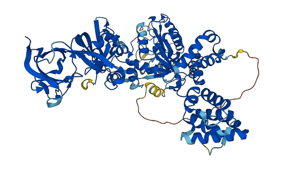 QARS1 3D structure