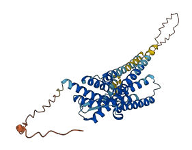 HTR5A 3D structure