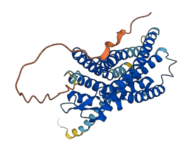 P2RY1 3D structure