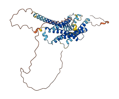 AVPR1B 3D structure