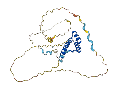 CDX1 3D structure