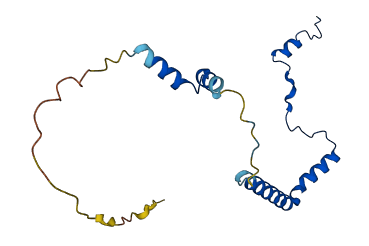 RPL29 3D structure