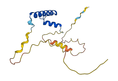 ID4 3D structure