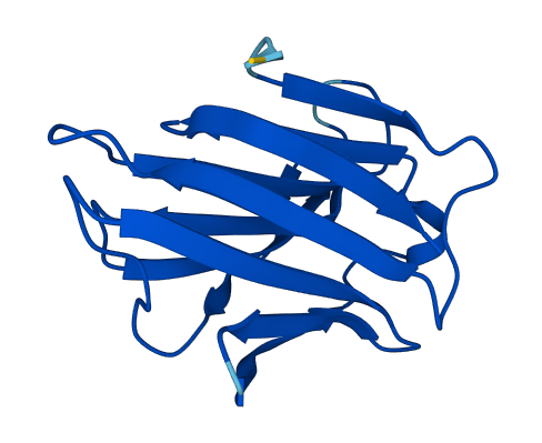 LGALS7 3D structure