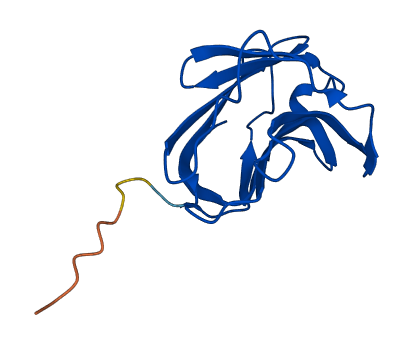 Lgals5 3D structure