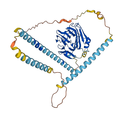 NPTX2 3D structure