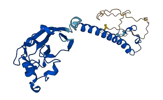 UQCRFS1 3D structure
