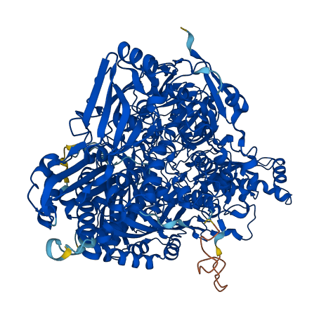 XDH 3D structure