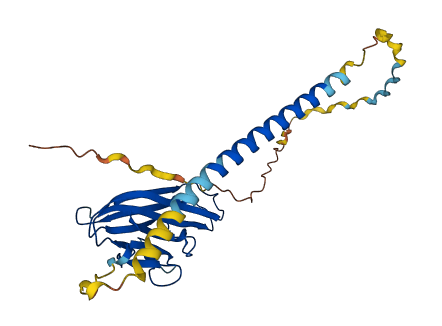 FASLG 3D structure