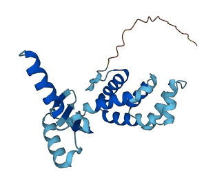 ATP5PO 3D structure