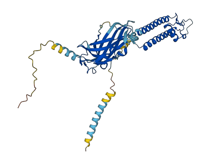 KCNJ1 3D structure