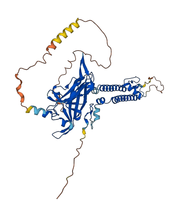 KCNJ4 3D structure