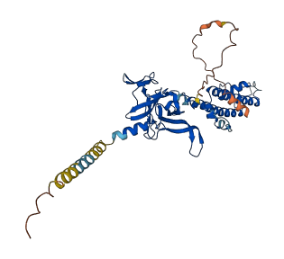 KCNJ6 3D structure