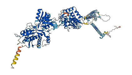 GRIA4 3D structure