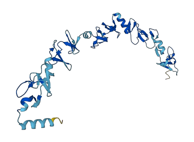 LIMS1 3D structure