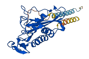 GLIPR1 3D structure