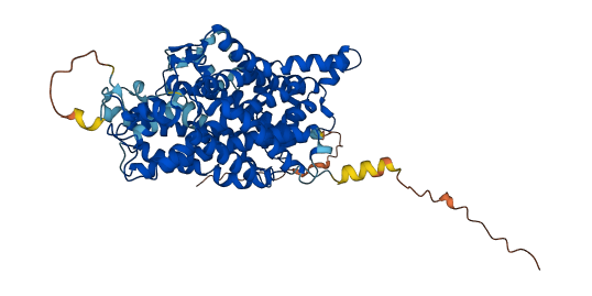 SLC6A12 3D structure