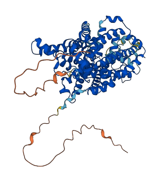 SLC6A11 3D structure