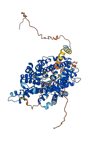 SLC6A9 3D structure