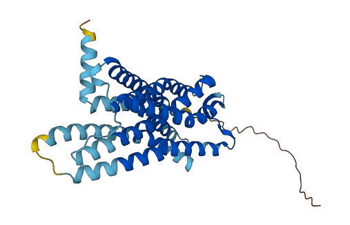 NPBWR1 3D structure