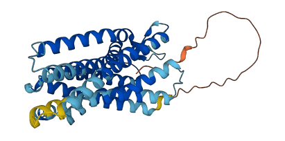 NPBWR2 3D structure