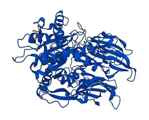 PREP 3D structure