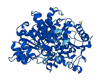 ME1 3D structure