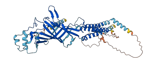 GLRB 3D structure