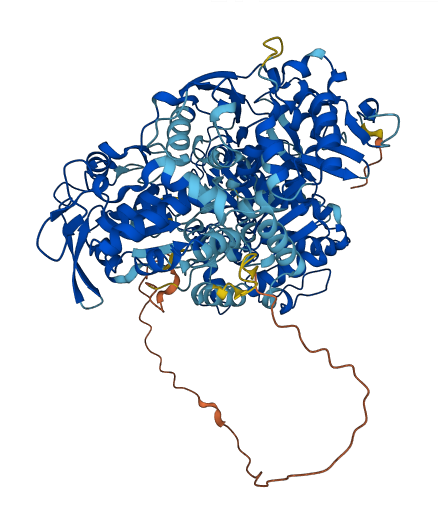 IREB2 3D structure