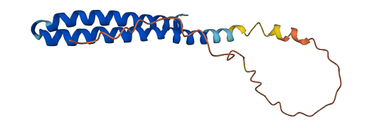 ATP5MC3 3D structure