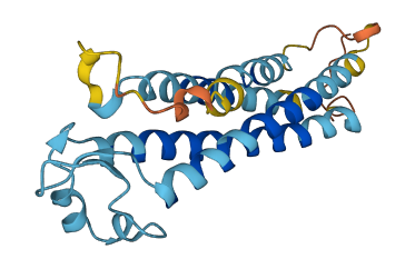 TM4SF4 3D structure