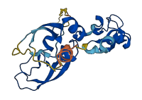 TFPI2 3D structure