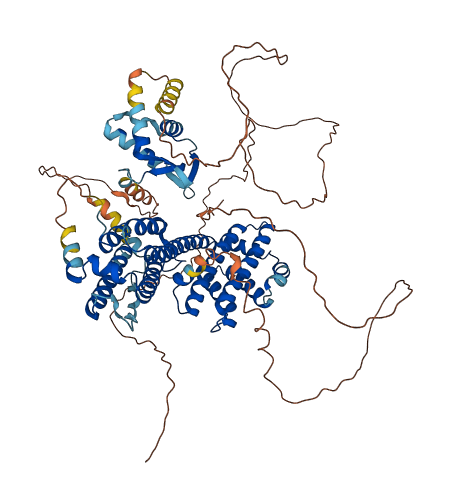 RFX3 3D structure