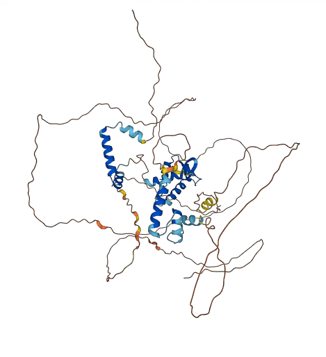 RFX5 3D structure