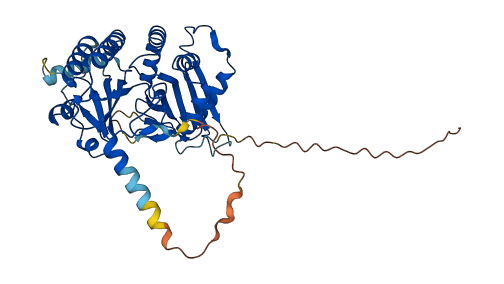 PIP4K2A 3D structure
