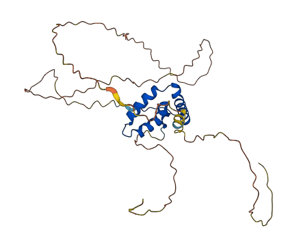 SOX2 3D structure