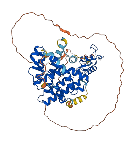 RXRG 3D structure