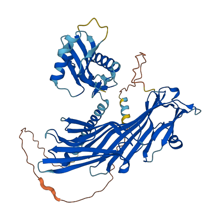 ARCN1 3D structure