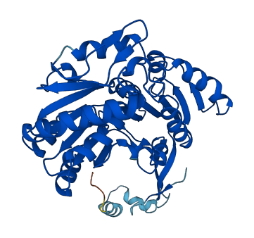 ALDH3B2 3D structure